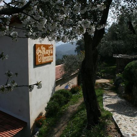 Gite Roya Mercantour Breil sur Roya Bagian luar foto
