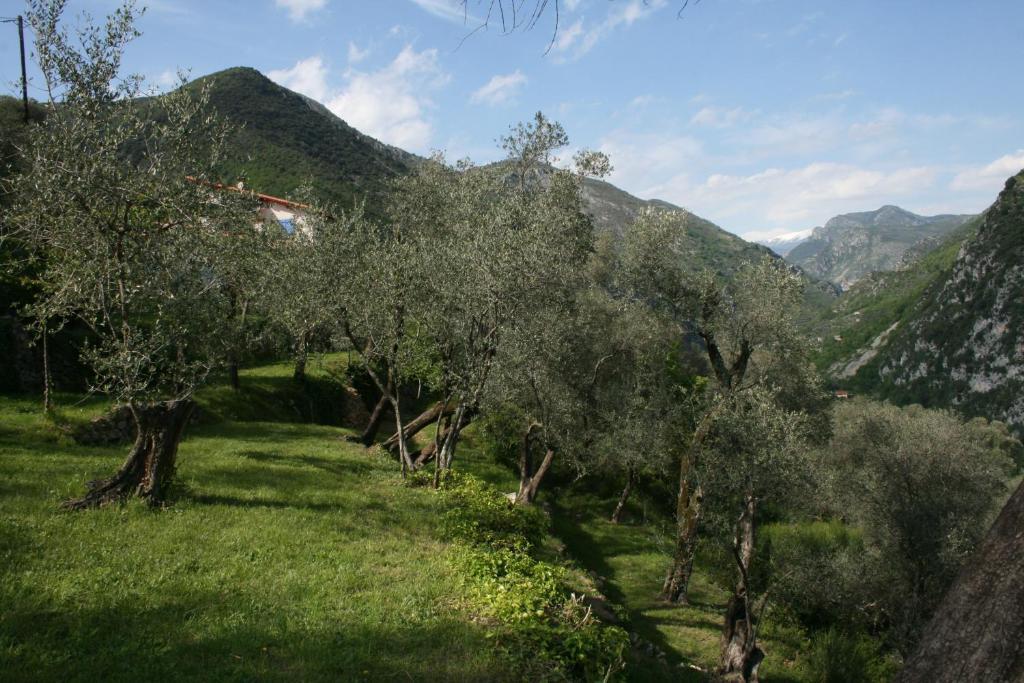 Gite Roya Mercantour Breil sur Roya Bagian luar foto